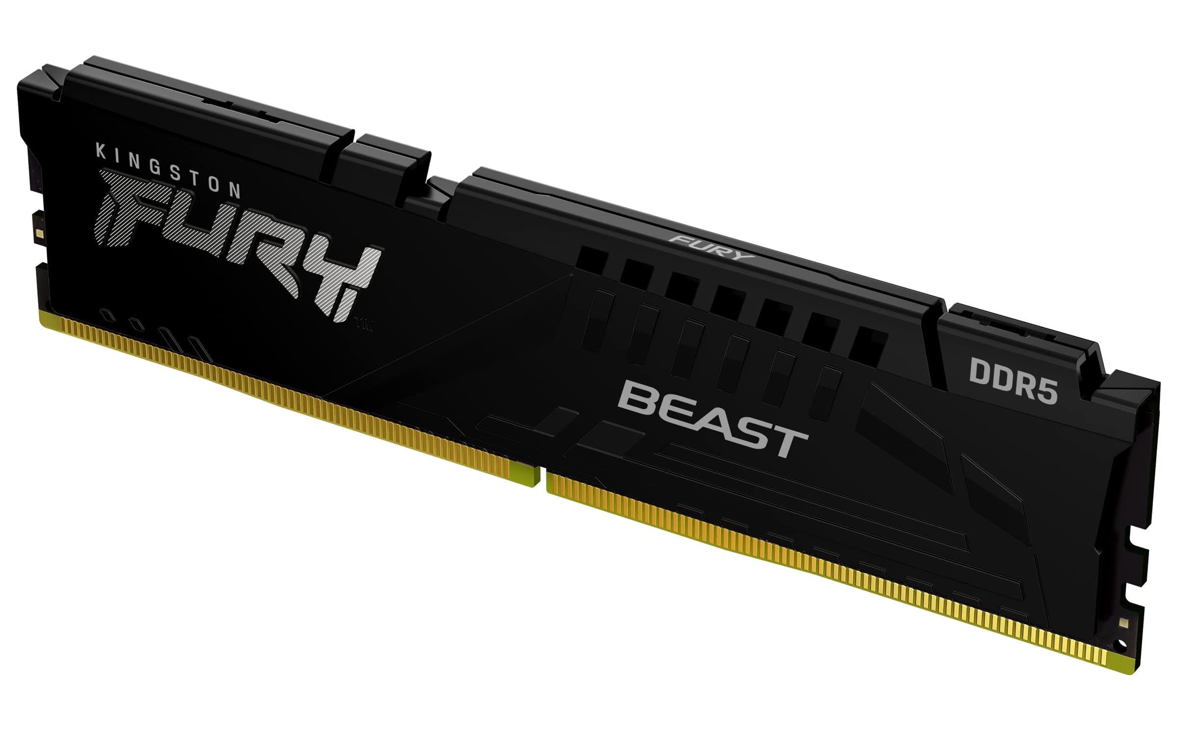 Kingston Fury Beast 16GB DDR5-6000 EXPO
