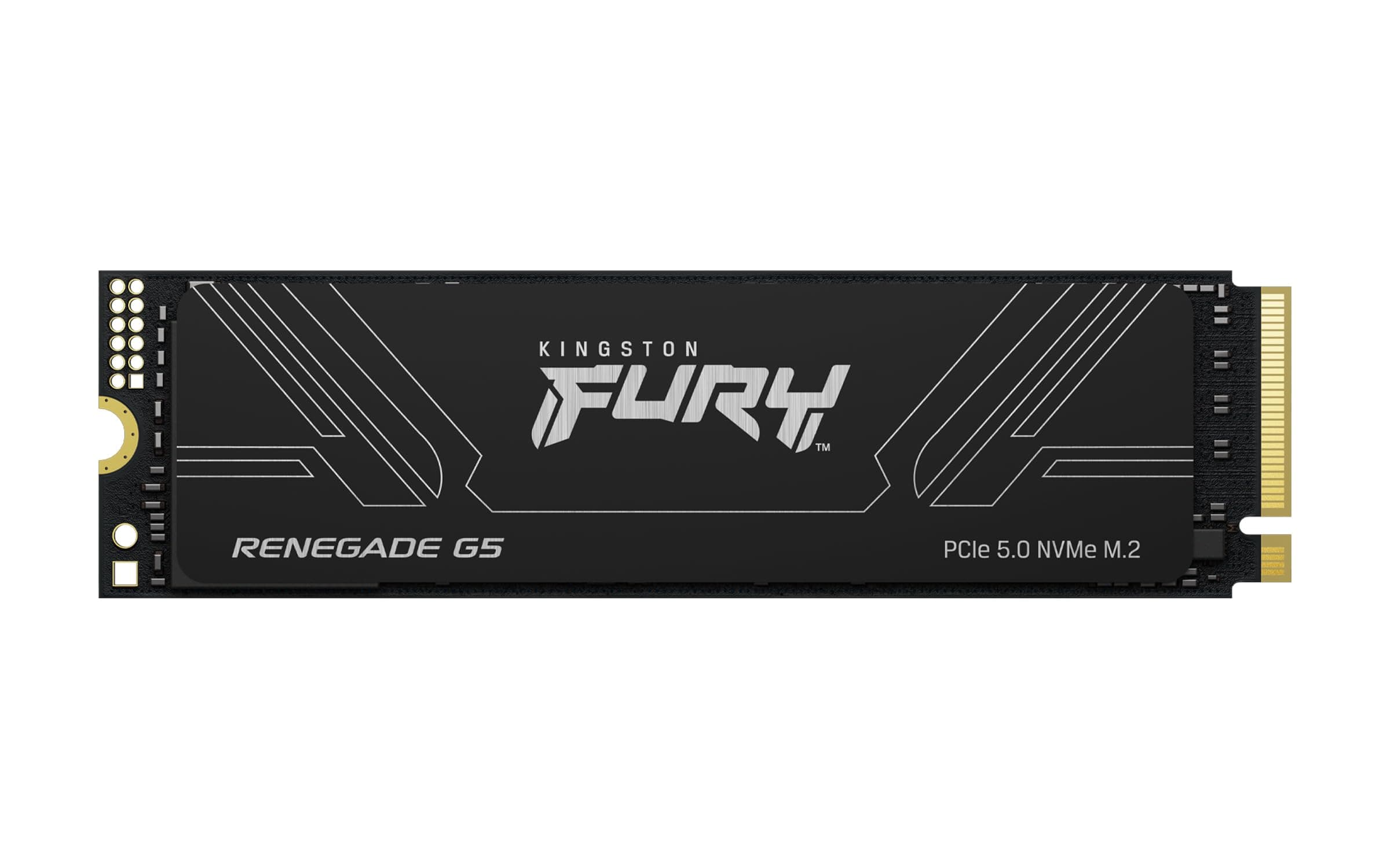 Kingston Fury Renegade G5 1TB